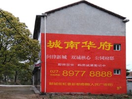 射洪百分之90的人都不了解的农村墙体广告