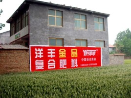 射洪如何让墙体广告展现最大化效果