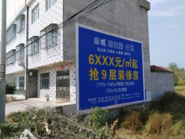 射洪墙体广告质量分析
