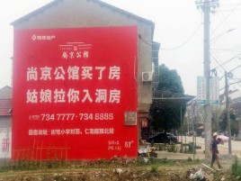 射洪墙体广告在乡镇、农村市场的媒体优势