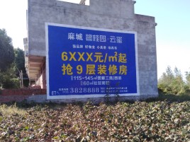 射洪品牌公司青睐的墙体广告