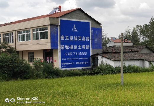 射洪决定墙体广告价格的因素有哪些?