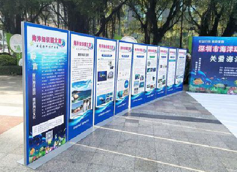 射洪KT板的种类和知识。